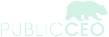 PublicCEO Website